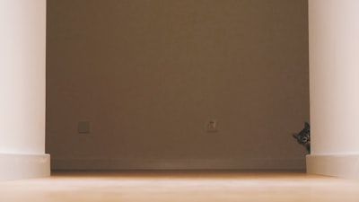 بث مباشر مباراة السعودية الانمتابعة حية لأهم المواجهات الكروية